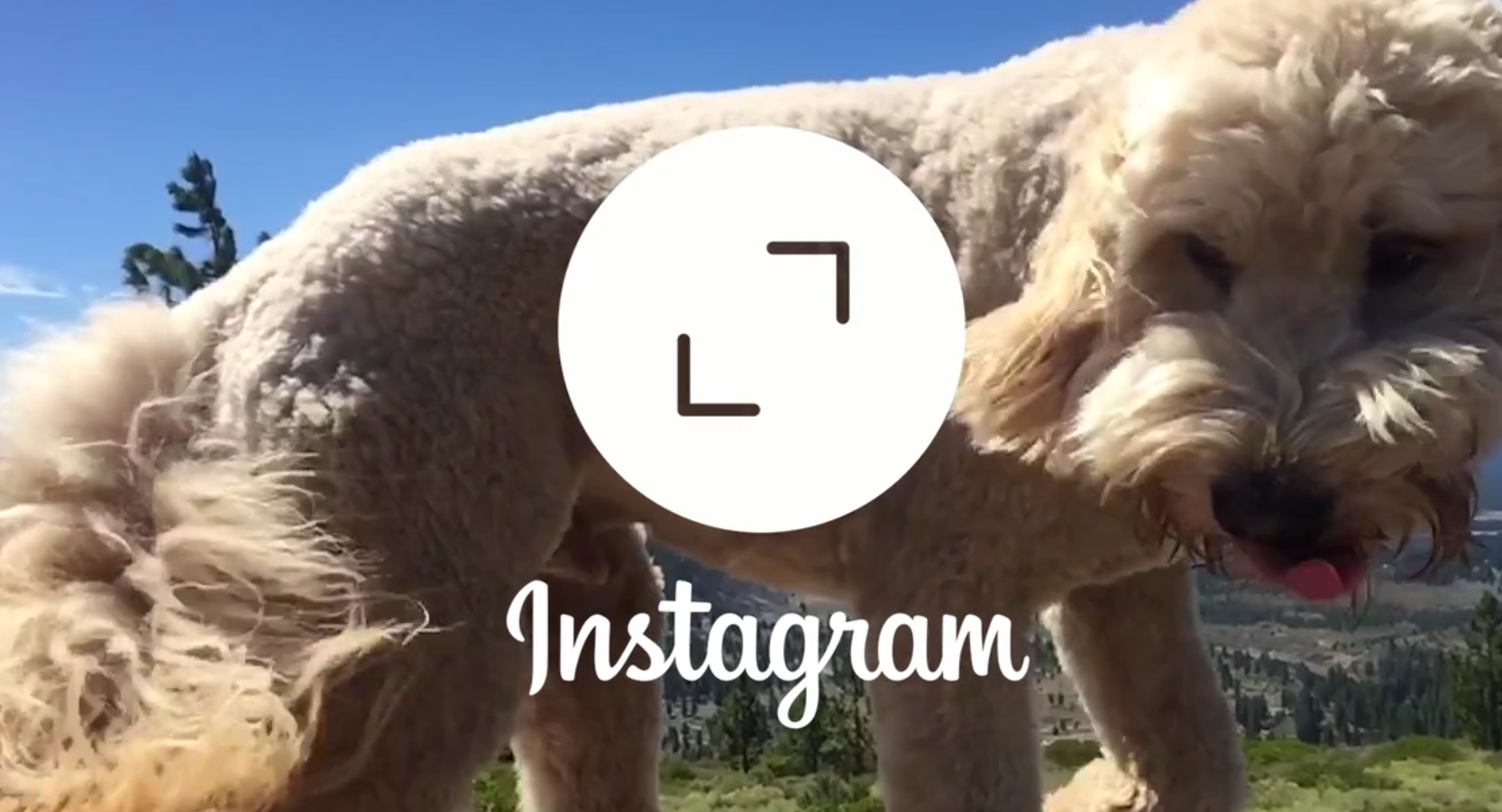 В Instagram теперь стала доступна функция размещения фотографий в других форматах