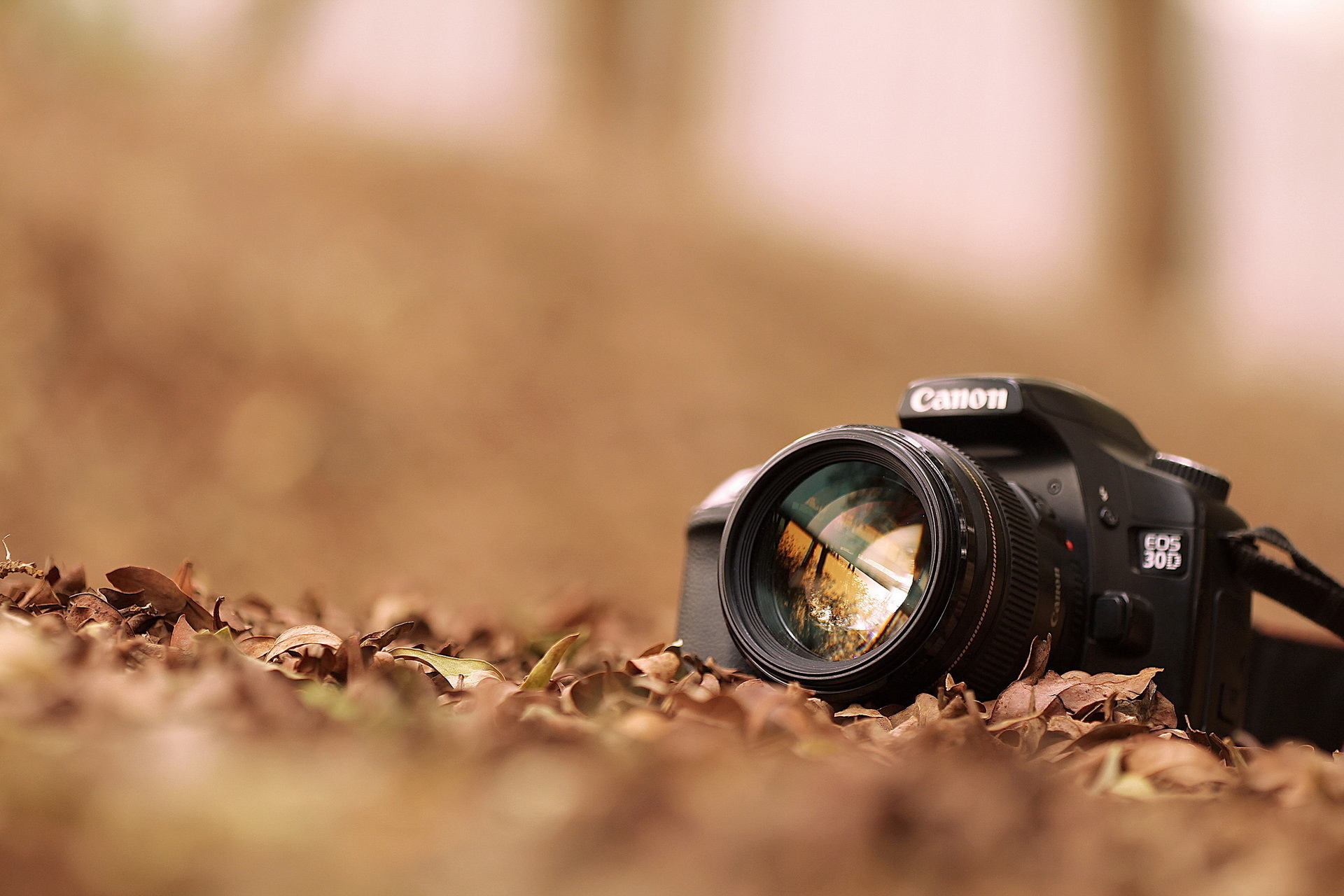 Мировой рекорд разрешения сенсора теперь принадлежит Canon