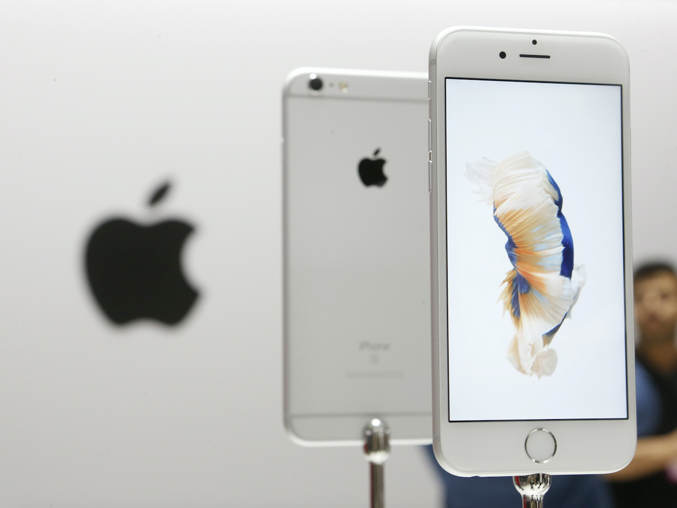 Apple представит iPhone SE вместо iPhone 5SE и снизит цены на 50% для iPhone 5s