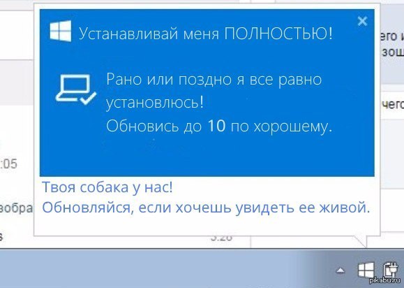 windows10
