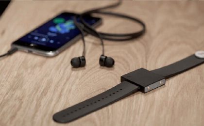 Basslet