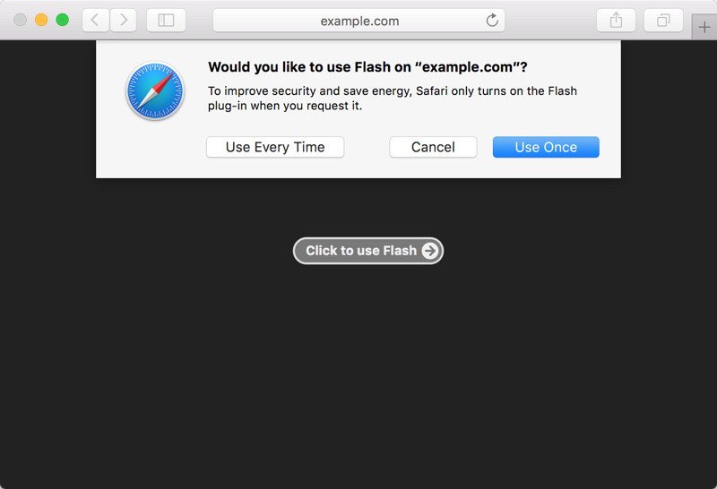safari