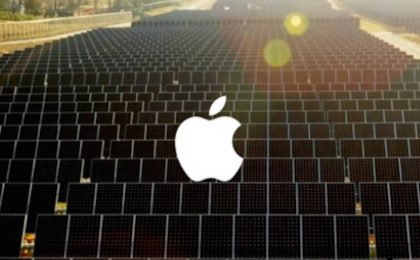 sun_ferm_apple
