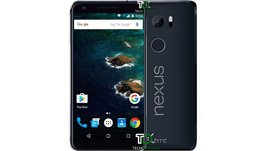 nexus