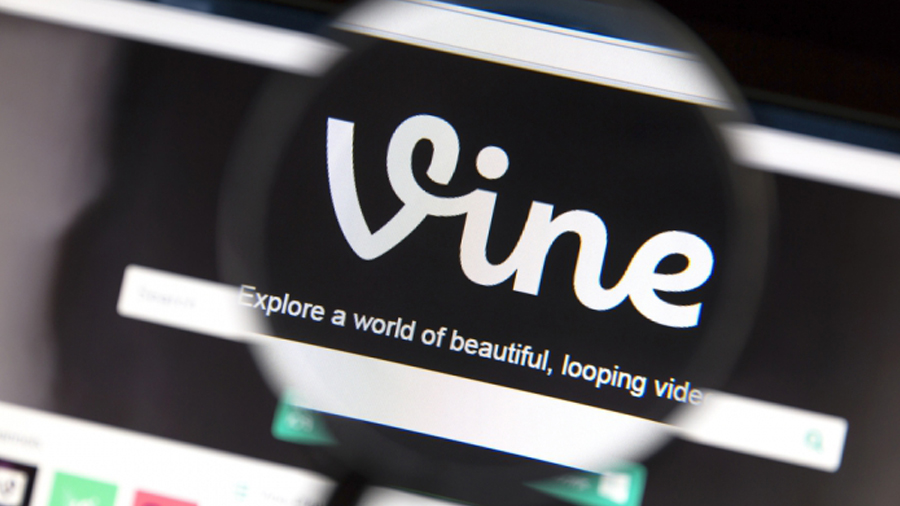 Vine