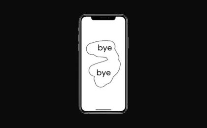 Bye-Bye-Camera