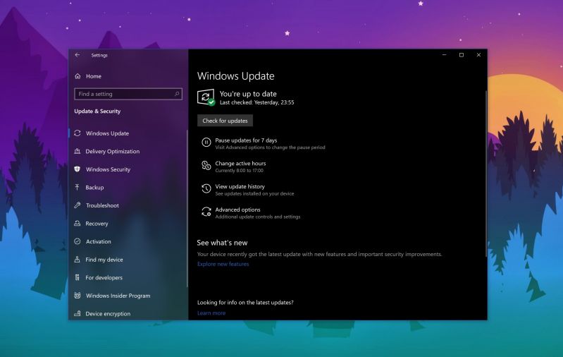 Windows 10 May 2020 Update