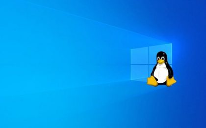 Windows10 Linux