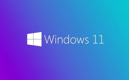 Windows 11