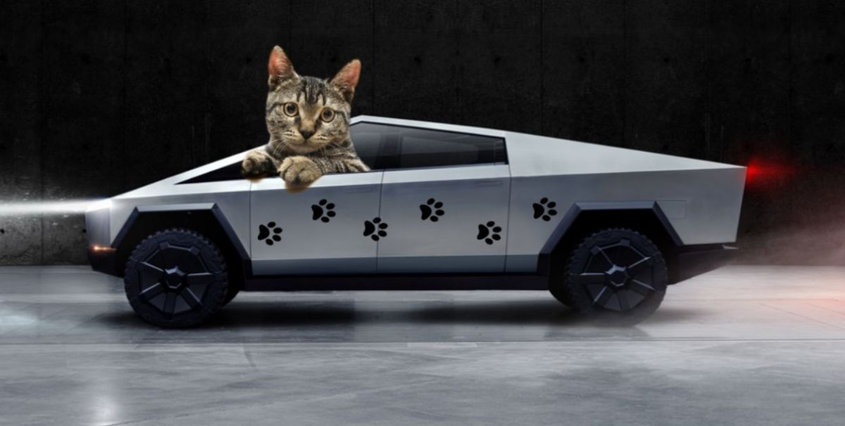 Tesla выпустила Cybertruck для кошек