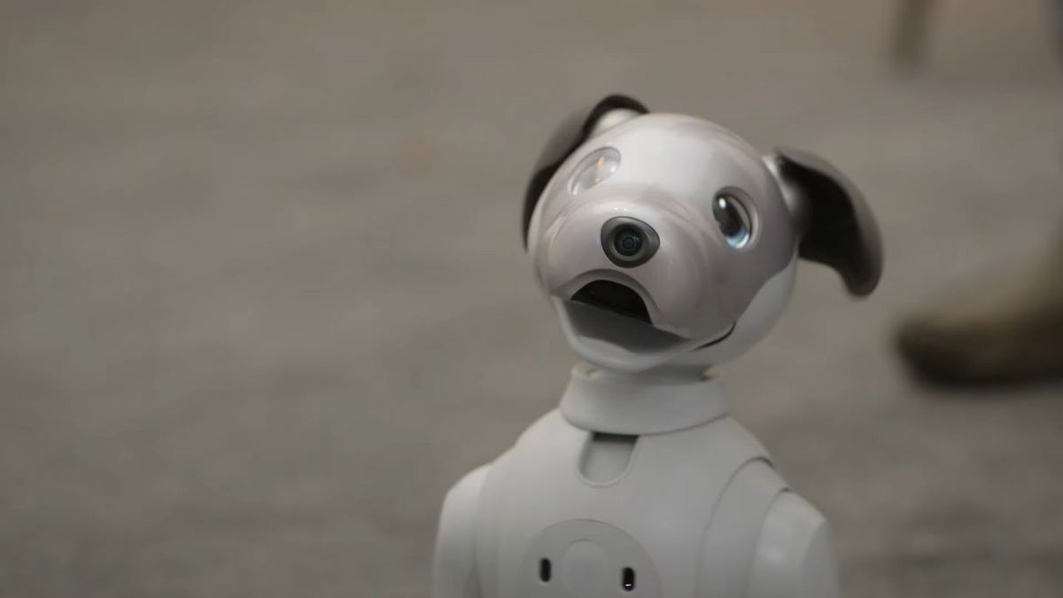 Sony открыла приют для робособак Aibo