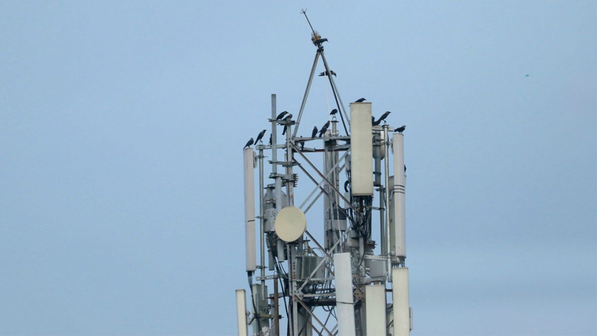 Почему по ночам отключают мобильный интернет в трех регионах России