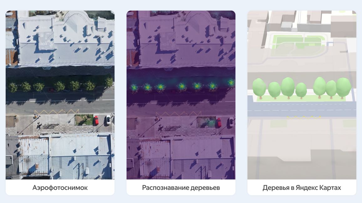 Яндекс Карты добавили более миллиона 3D-деревьев на карту Санкт-Петербурга и Петергофа