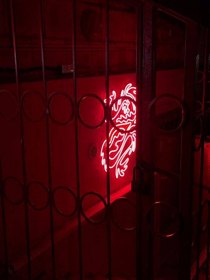 obzor-samsung-galaxy-a56-28