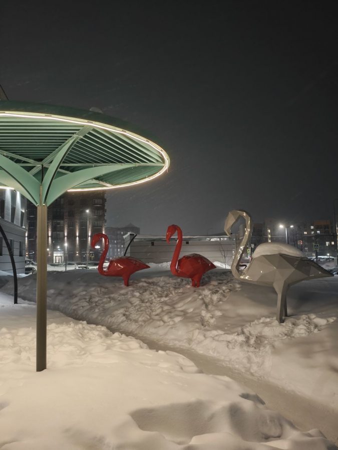 img_20260227_195457_606