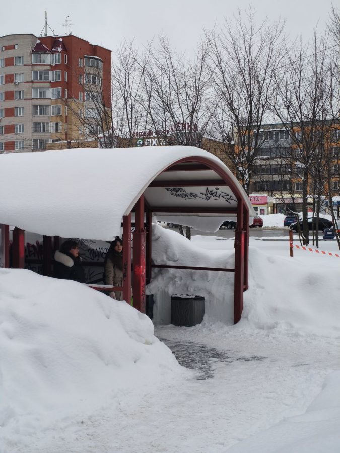 img_20260301_154458_402