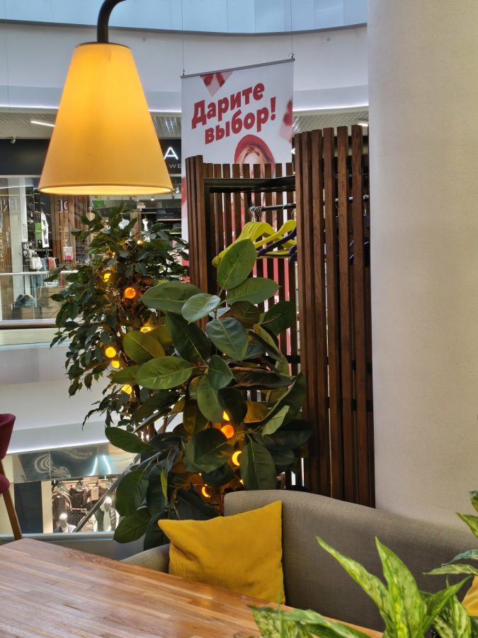 img_20260302_163102_964