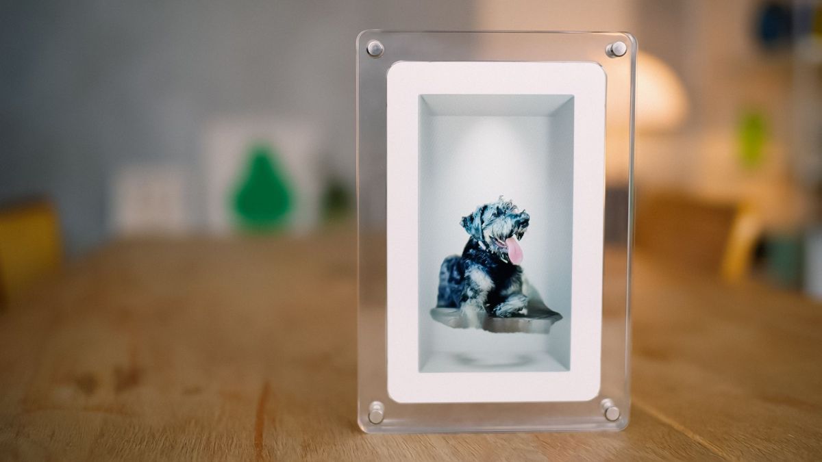 Любое фото превращается в голограмму. Представлена рамка Looking Glass Musubi за $149