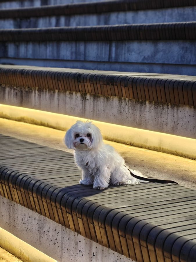 obzor-realme-16-pro-plus_22