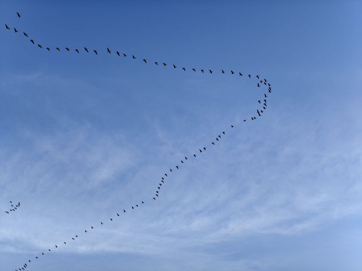 obzor-realme-16-pro-plus_37