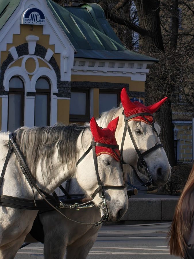 obzor-realme-16-pro-plus_39