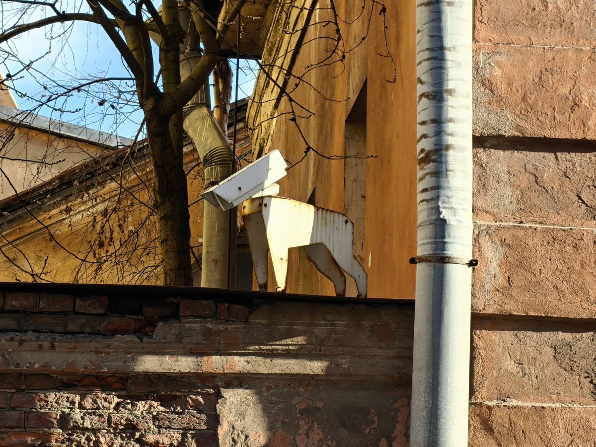 obzor-realme-16-pro-plus_43