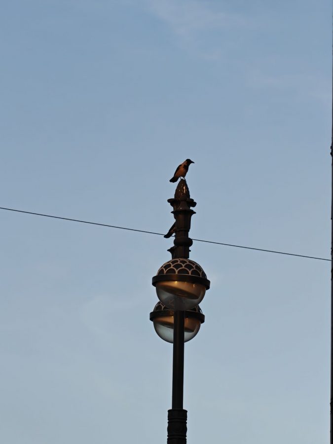 obzor-realme-16-pro-plus_49