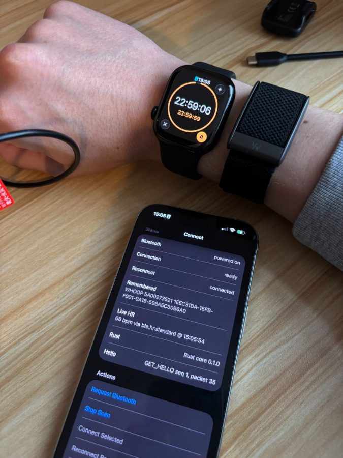 goose-app-