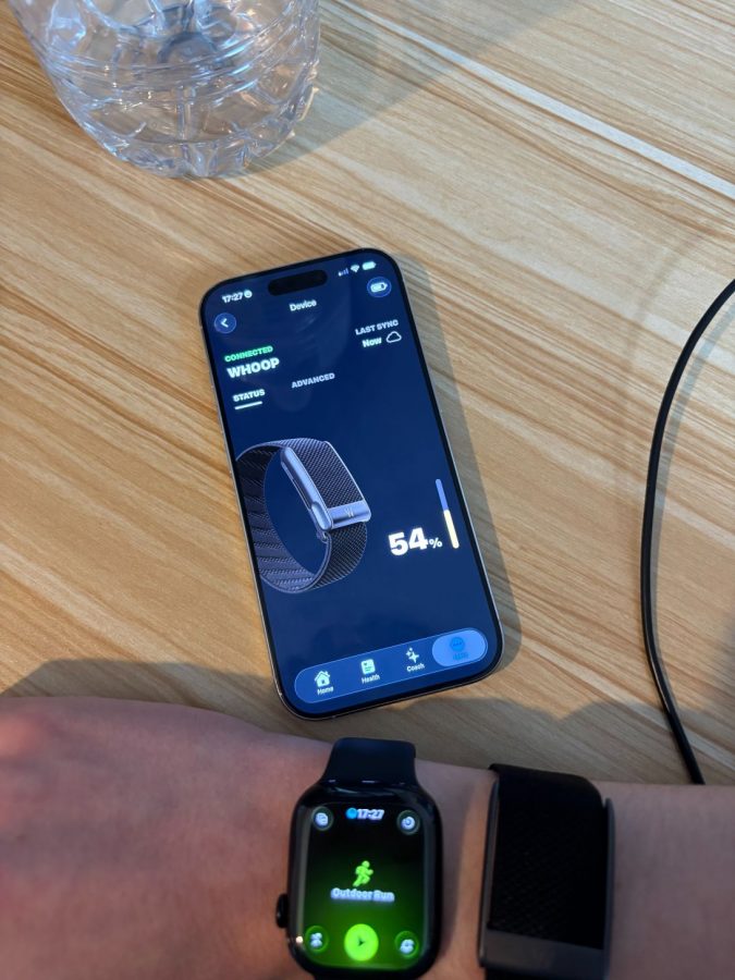 goose-app