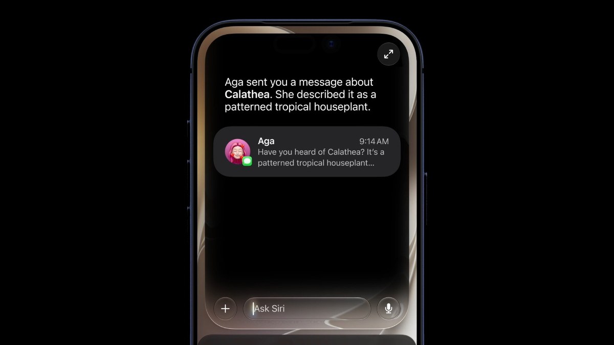 Владельцы iPhone в США смогут потребовать до $95 от Apple